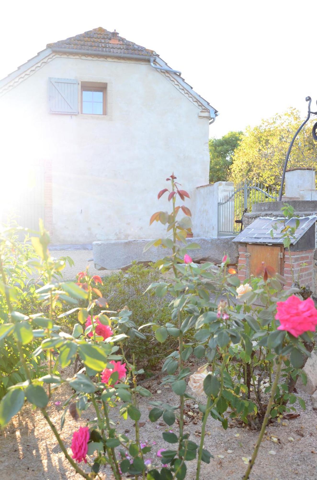 Ecogite Rural La Cle Des Champs Peyrelongue-Abos Cameră foto